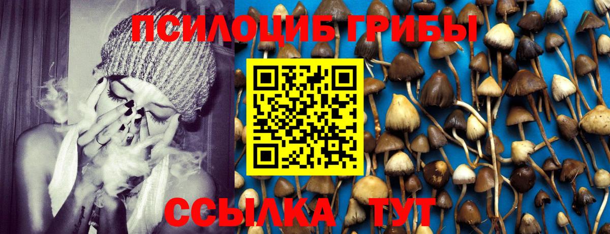 Шатура  Галлюциногенные грибы мухоморы  наркошоп  Псилоцибиновые грибы прущие грибы  Вход с VPN 